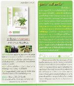 ยาขับลมตราเพชรแดง